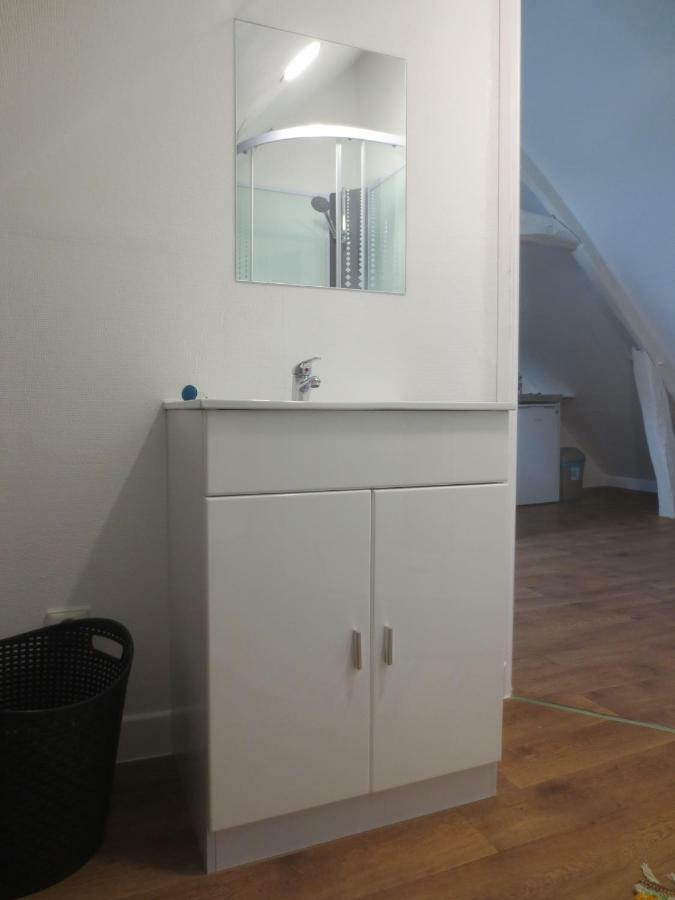 Appartements et studios meublés au centre ville d'Ouzouer Sur Loire Extérieur photo