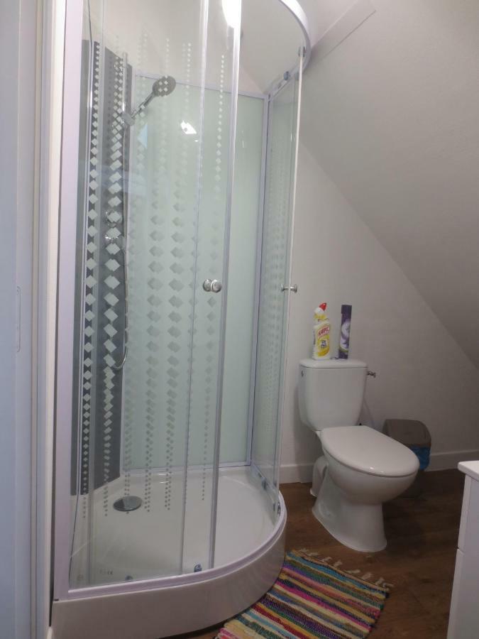 Appartements et studios meublés au centre ville d'Ouzouer Sur Loire Extérieur photo